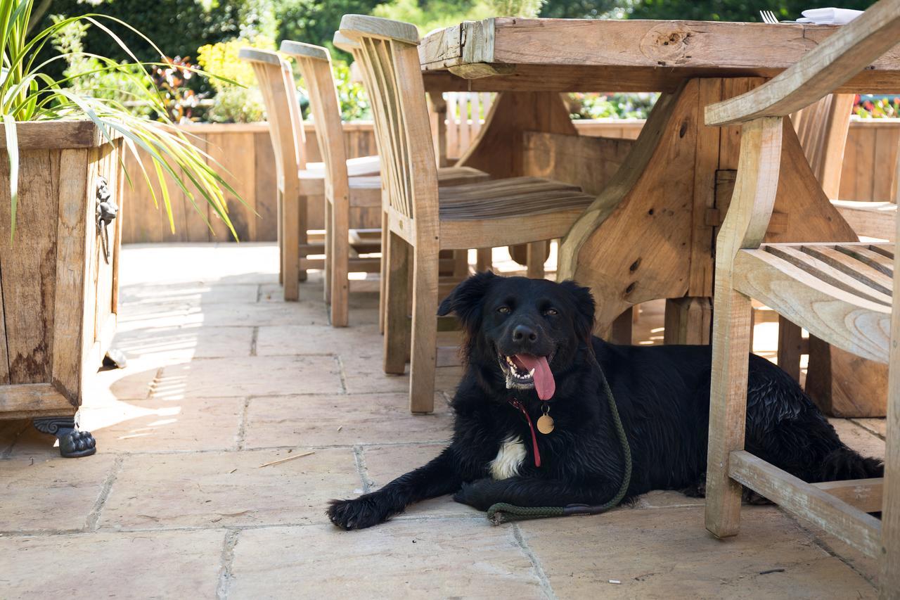 The Dundas Arms Kintbury 외부 사진